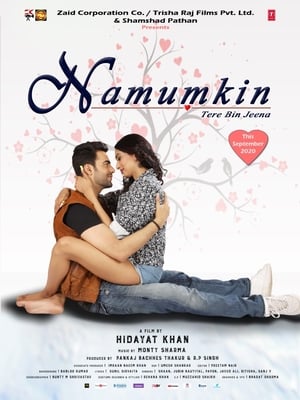 Namumkin Tere Bin Jeena 2020 Movie – [300MB] HD Poster Download - Filmyzilla