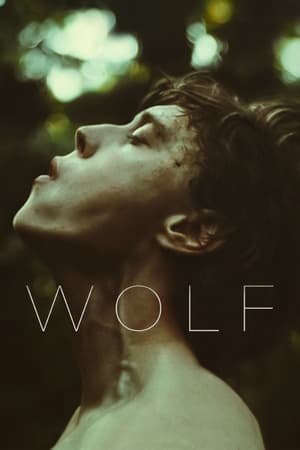 Wolf (2021) Hindi Dual Audio – HD Poster Download - Filmyzilla
