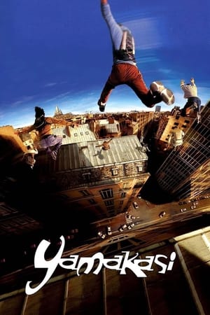 Yamakasi 2001 Hindi Dual Audio [980MB] HD Poster Download - Filmyzilla